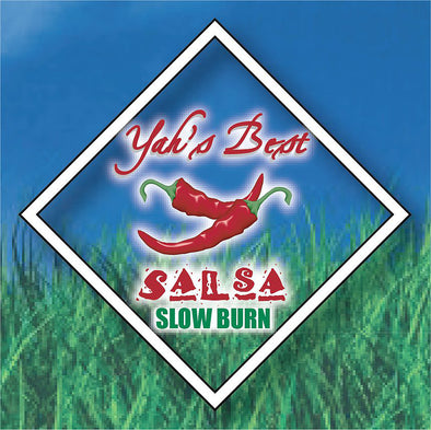 Slow Burn Salsa