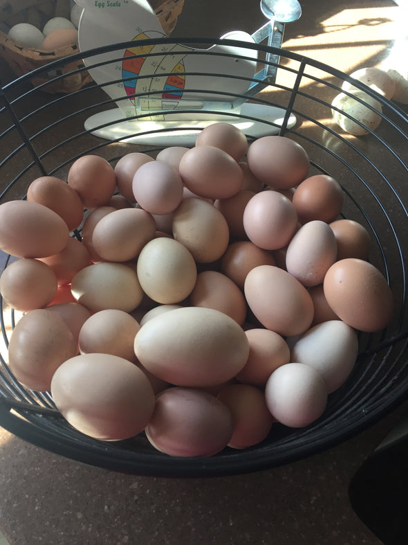 Farm Fresh Local Eggs
